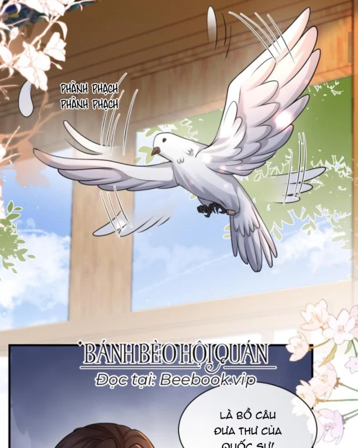 Sau Khi Xuyên Sách, 5 Nhân Cách Của Bạo Quân Đều Yêu Ta Chapter 246 - 52