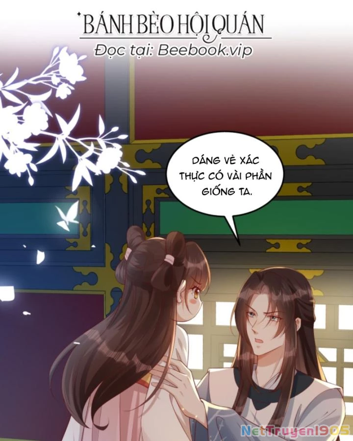 Sau Khi Xuyên Sách, 5 Nhân Cách Của Bạo Quân Đều Yêu Ta Chapter 249 - 4