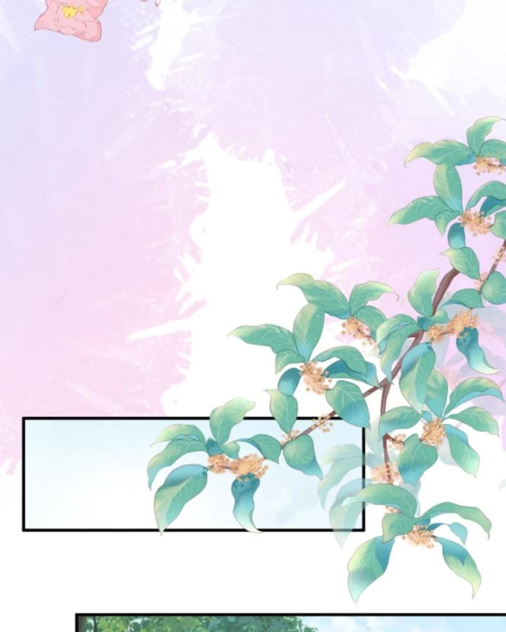 Sau Khi Xuyên Sách, 5 Nhân Cách Của Bạo Quân Đều Yêu Ta Chapter 256 - 19