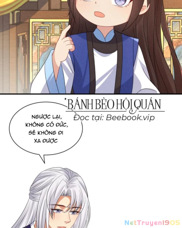 Sau Khi Xuyên Sách, 5 Nhân Cách Của Bạo Quân Đều Yêu Ta Chapter 258 - 11