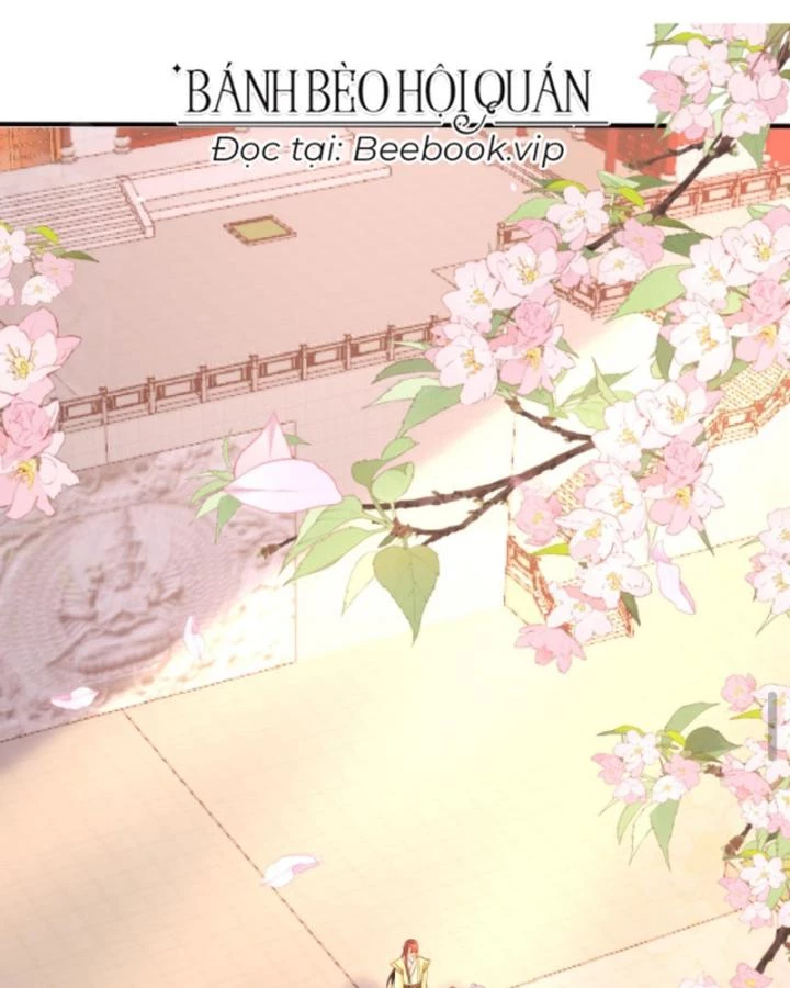 Sau Khi Xuyên Sách, 5 Nhân Cách Của Bạo Quân Đều Yêu Ta Chapter 259 - 4