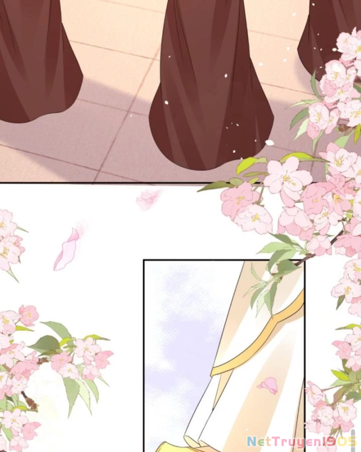 Sau Khi Xuyên Sách, 5 Nhân Cách Của Bạo Quân Đều Yêu Ta Chapter 259 - 11