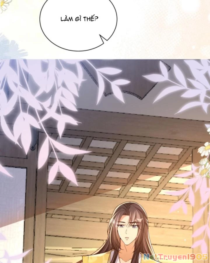 Sau Khi Xuyên Sách, 5 Nhân Cách Của Bạo Quân Đều Yêu Ta Chapter 259 - 44