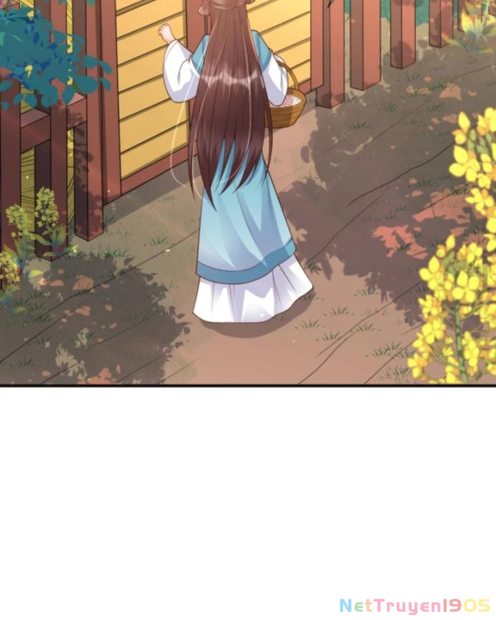 Sau Khi Xuyên Sách, 5 Nhân Cách Của Bạo Quân Đều Yêu Ta Chapter 267 - 11