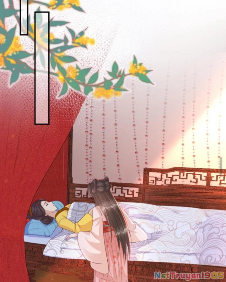 Sau Khi Xuyên Sách, 5 Nhân Cách Của Bạo Quân Đều Yêu Ta Chapter 267 - 24