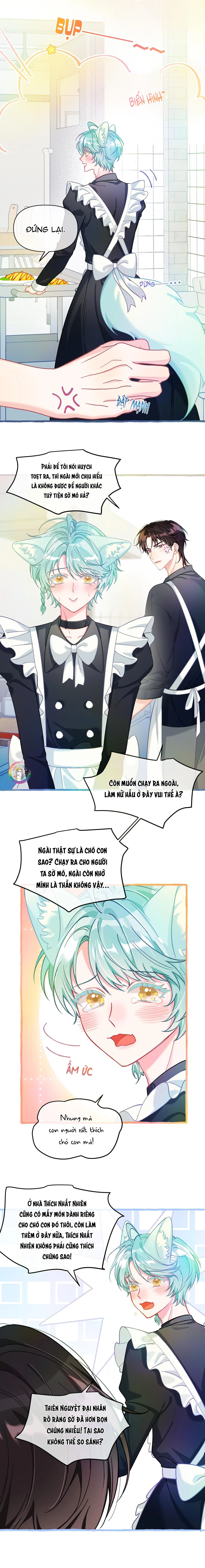 Hồ Ly Hay Là "Hồ Dán" Vậy? Chapter 24 - 3