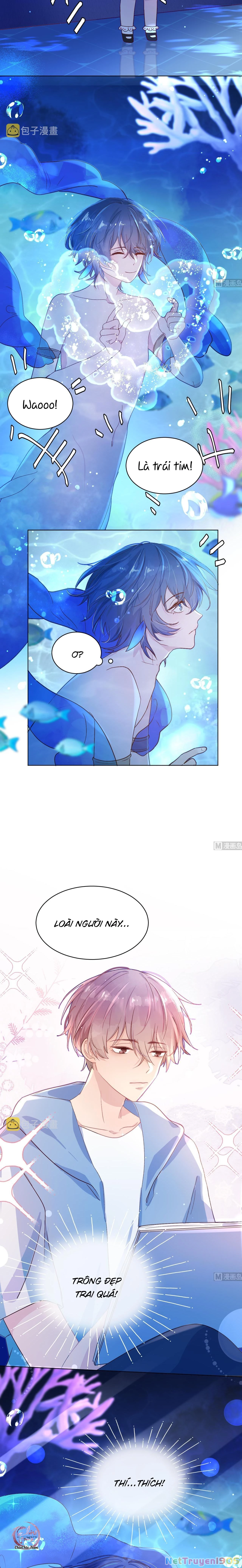 Đuôi Nè, Sờ Hông? Chapter 1 - 6