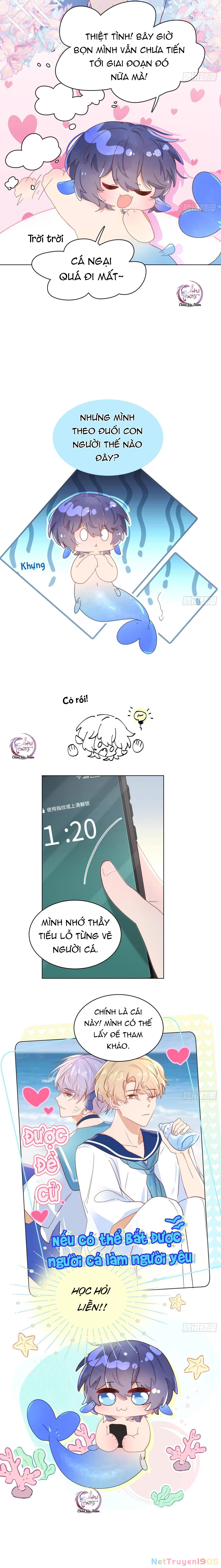 Đuôi Nè, Sờ Hông? Chapter 4 - 2