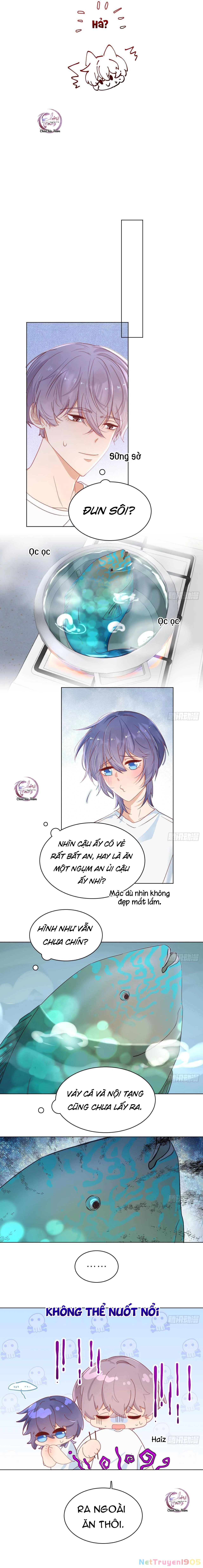 Đuôi Nè, Sờ Hông? Chapter 4 - 7