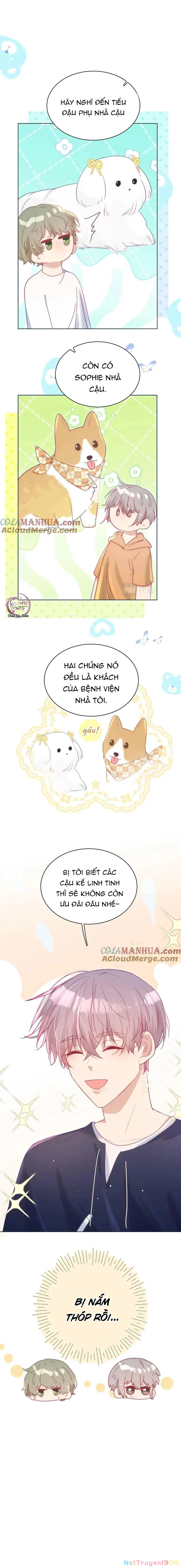 Đuôi Nè, Sờ Hông? Chapter 30 - 8