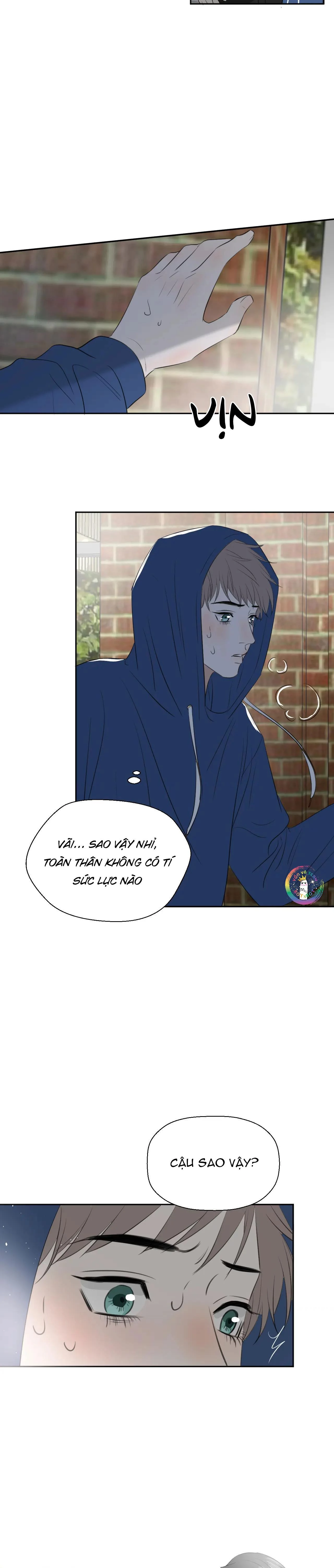 Không Tỳ Vết Chapter 22 - 4