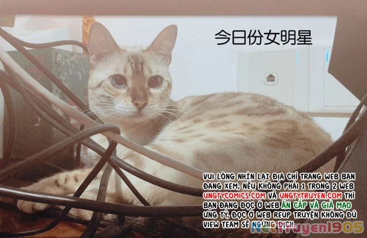 Giam Thủ Bị Đạo Chapter 15 - 41