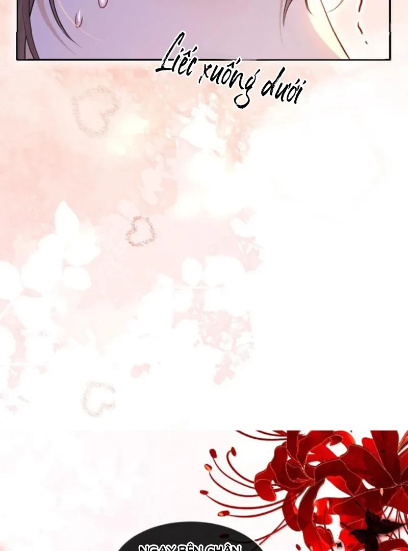 Tiểu Thư Ma Nữ, Cấm Dính Sát! Chapter 29 - 15