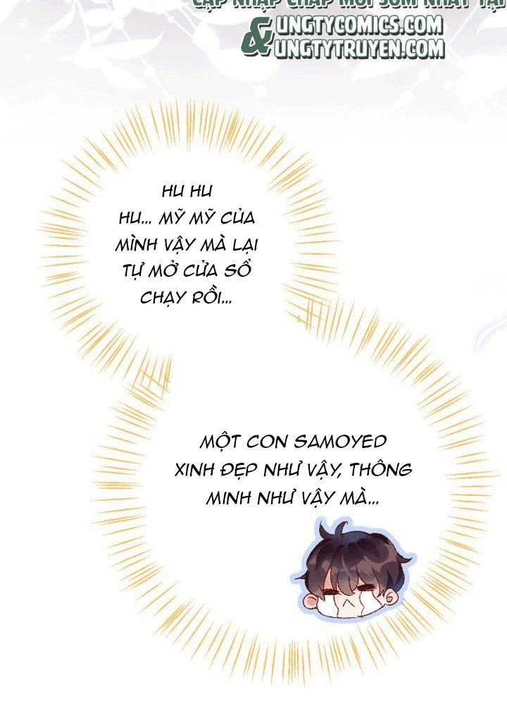 Giáo Bá Cửu Vĩ Hồ Theo Dõi Ta Lúc Sau Chapter 2 - 17