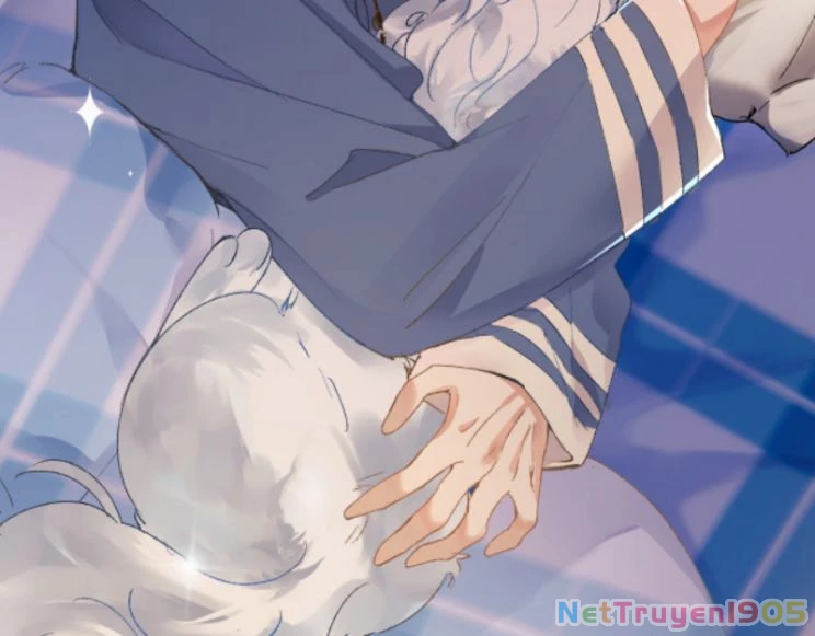 Giáo Bá Cửu Vĩ Hồ Theo Dõi Ta Lúc Sau Chapter 3 - 61