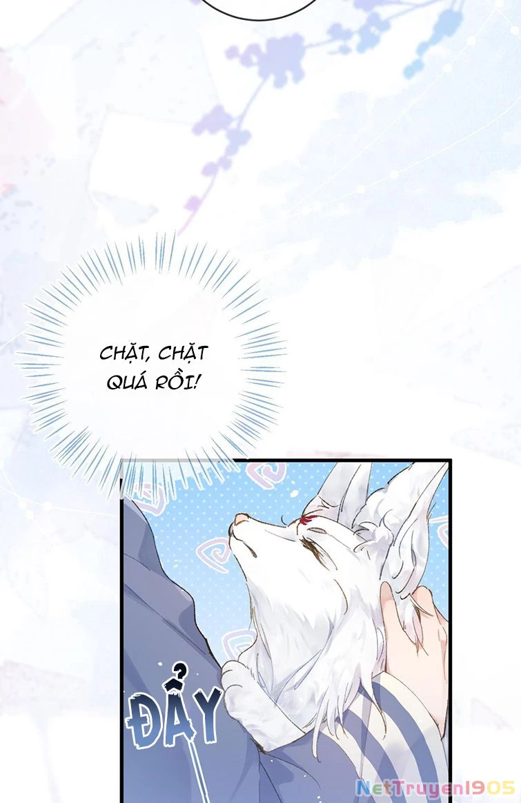 Giáo Bá Cửu Vĩ Hồ Theo Dõi Ta Lúc Sau Chapter 4 - 3