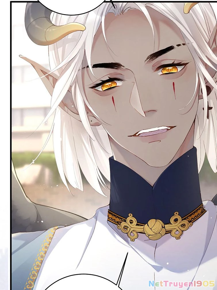 Giáo Bá Cửu Vĩ Hồ Theo Dõi Ta Lúc Sau Chapter 4 - 53