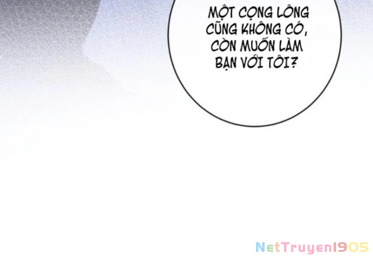 Giáo Bá Cửu Vĩ Hồ Theo Dõi Ta Lúc Sau Chapter 5 - 80