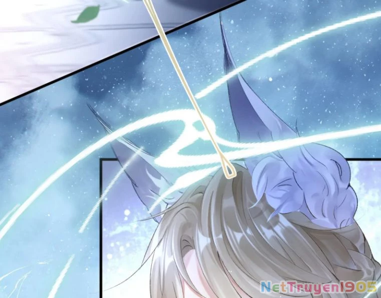 Giáo Bá Cửu Vĩ Hồ Theo Dõi Ta Lúc Sau Chapter 6 - 13