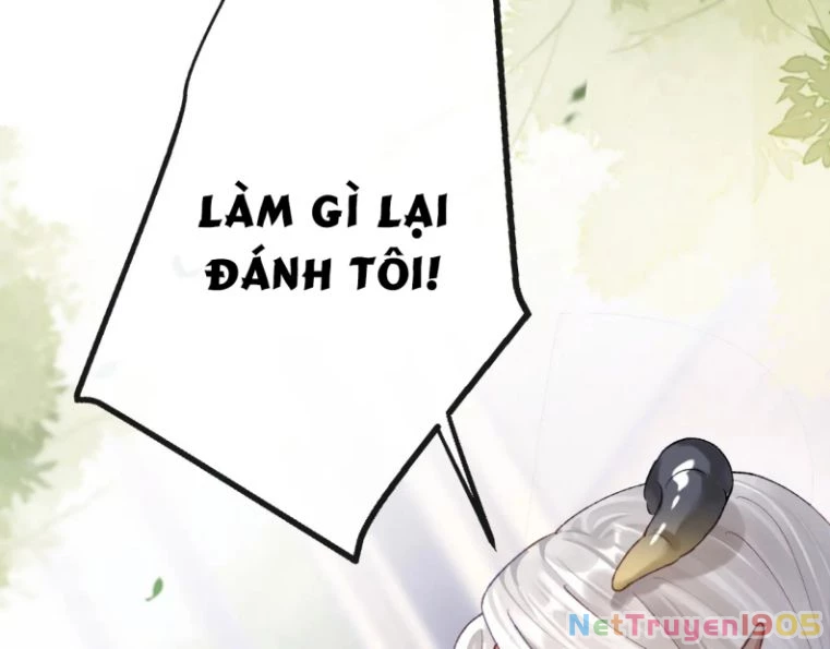 Giáo Bá Cửu Vĩ Hồ Theo Dõi Ta Lúc Sau Chapter 6 - 39