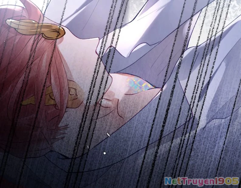 Giáo Bá Cửu Vĩ Hồ Theo Dõi Ta Lúc Sau Chapter 14 - 43