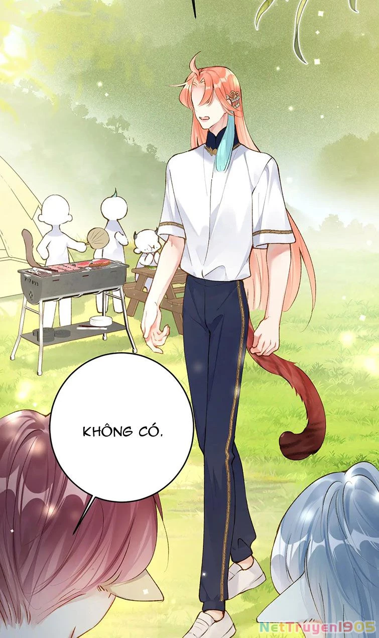 Giáo Bá Cửu Vĩ Hồ Theo Dõi Ta Lúc Sau Chapter 19 - 36