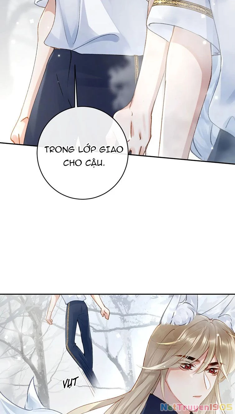 Giáo Bá Cửu Vĩ Hồ Theo Dõi Ta Lúc Sau Chapter 20 - 32