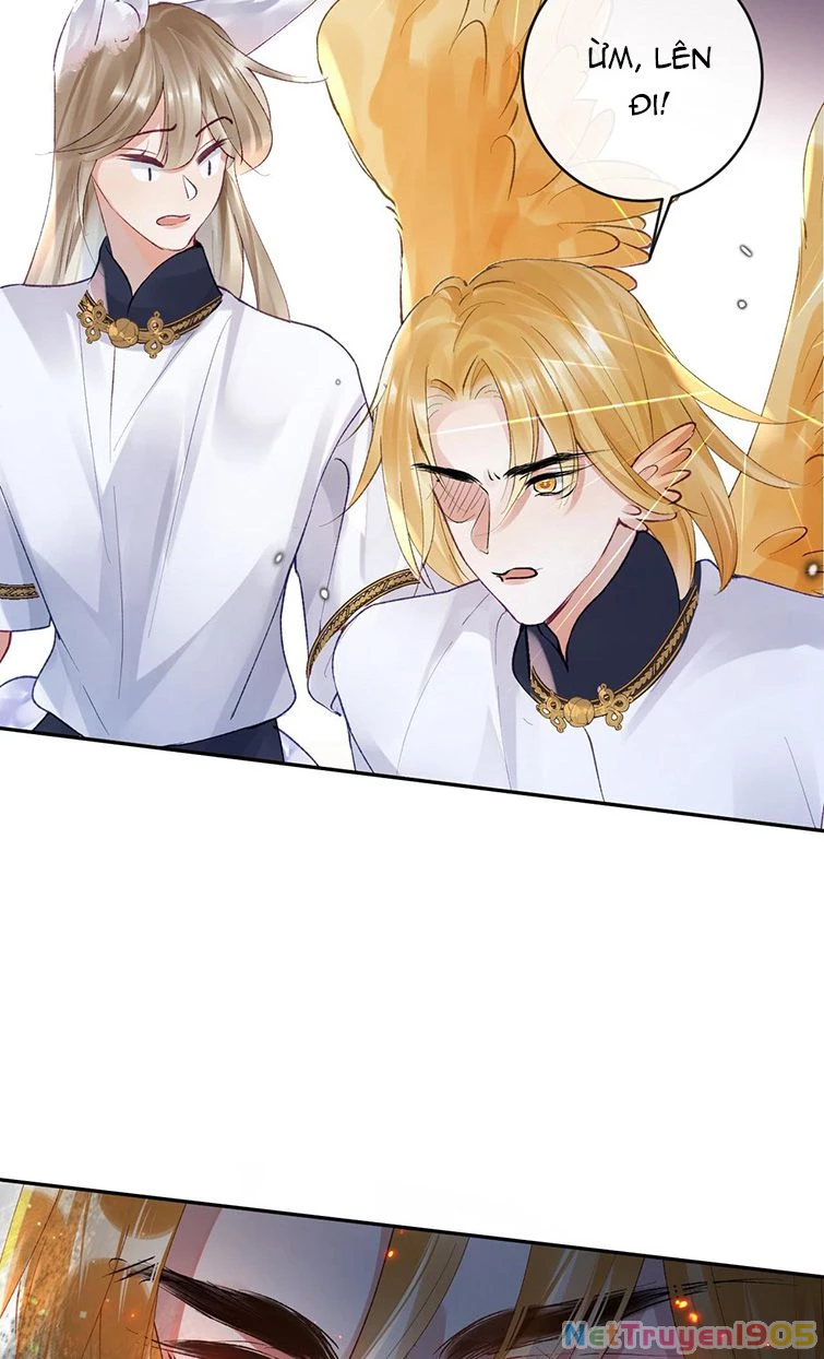 Giáo Bá Cửu Vĩ Hồ Theo Dõi Ta Lúc Sau Chapter 23 - 36