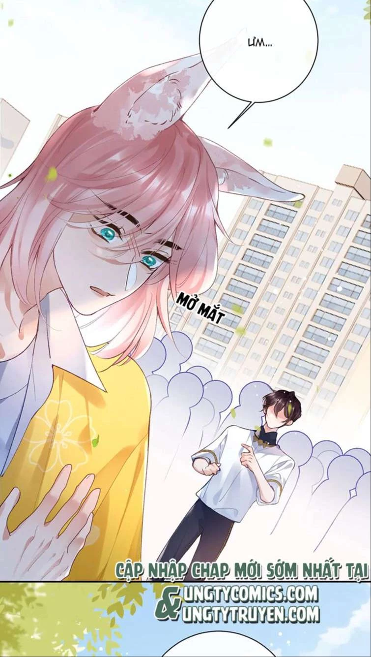 Giáo Bá Cửu Vĩ Hồ Theo Dõi Ta Lúc Sau Chapter 28 - 6