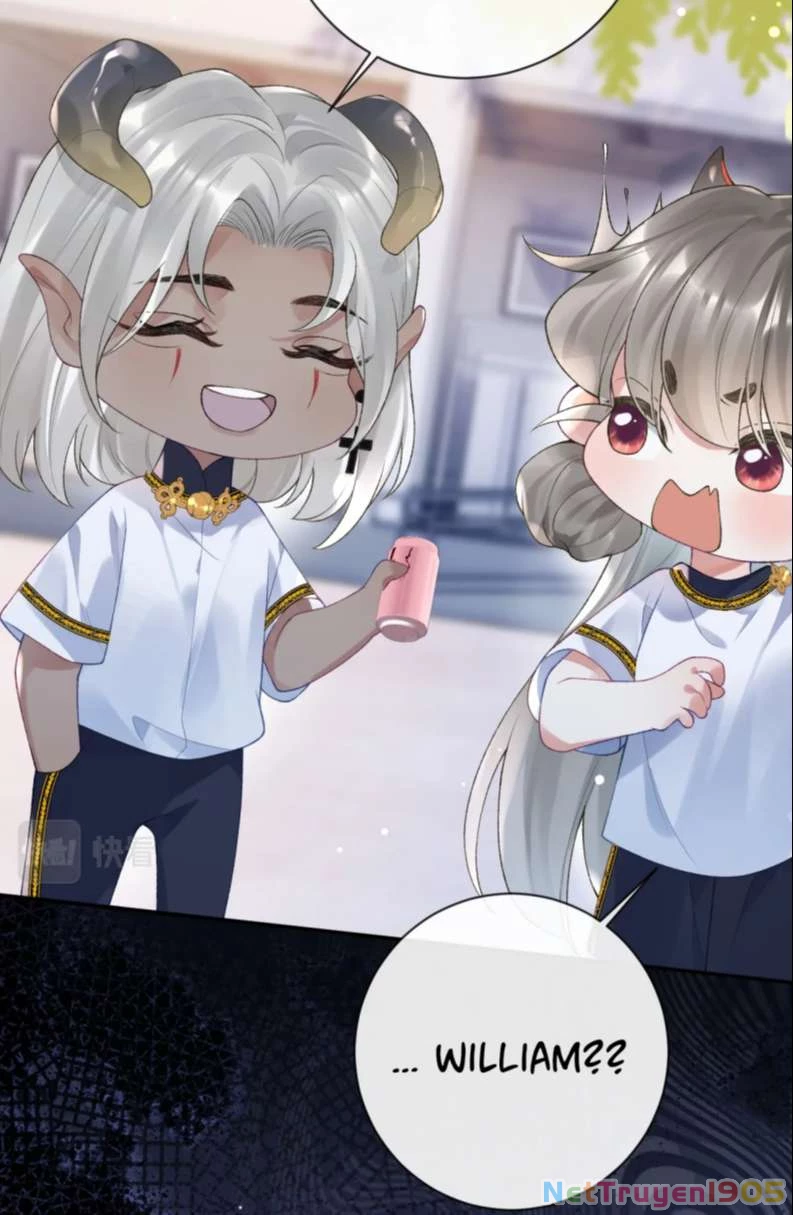 Giáo Bá Cửu Vĩ Hồ Theo Dõi Ta Lúc Sau Chapter 35 - 50