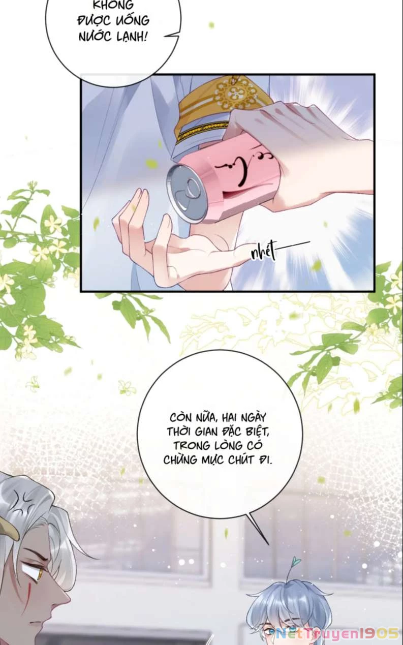 Giáo Bá Cửu Vĩ Hồ Theo Dõi Ta Lúc Sau Chapter 35 - 52