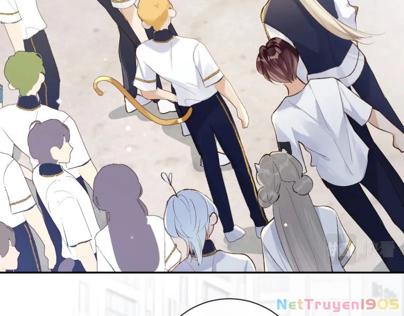 Giáo Bá Cửu Vĩ Hồ Theo Dõi Ta Lúc Sau Chapter 36 - 13