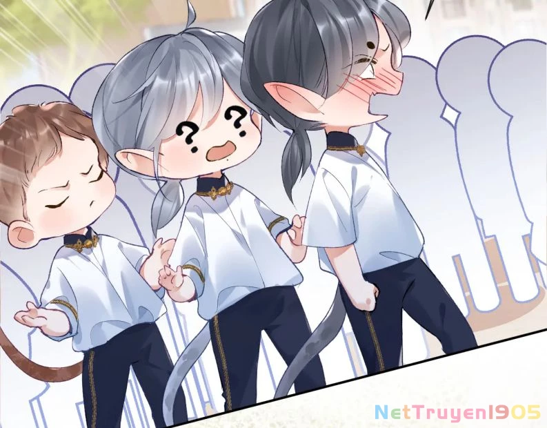 Giáo Bá Cửu Vĩ Hồ Theo Dõi Ta Lúc Sau Chapter 36 - 34