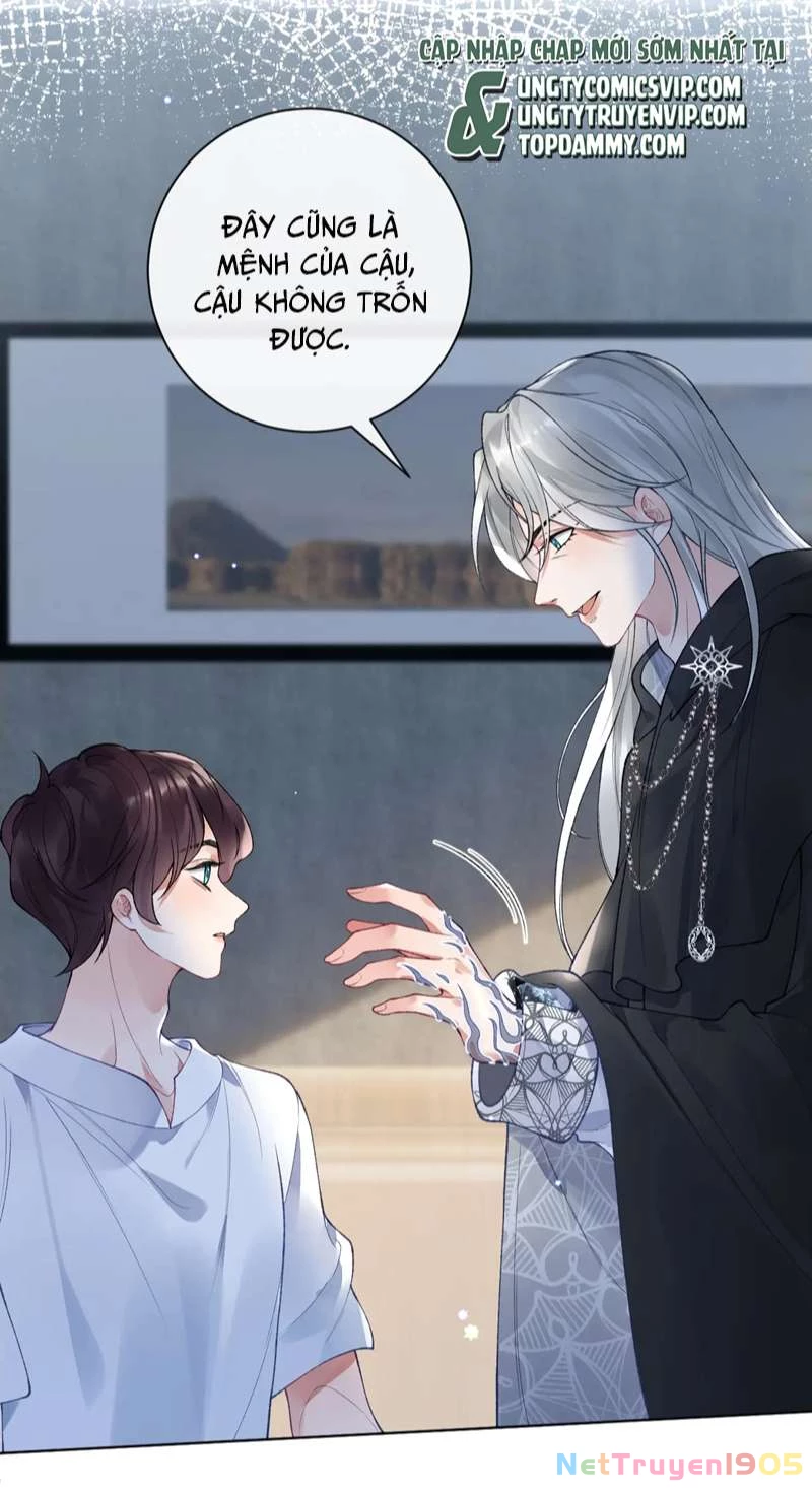 Giáo Bá Cửu Vĩ Hồ Theo Dõi Ta Lúc Sau Chapter 51 - 36