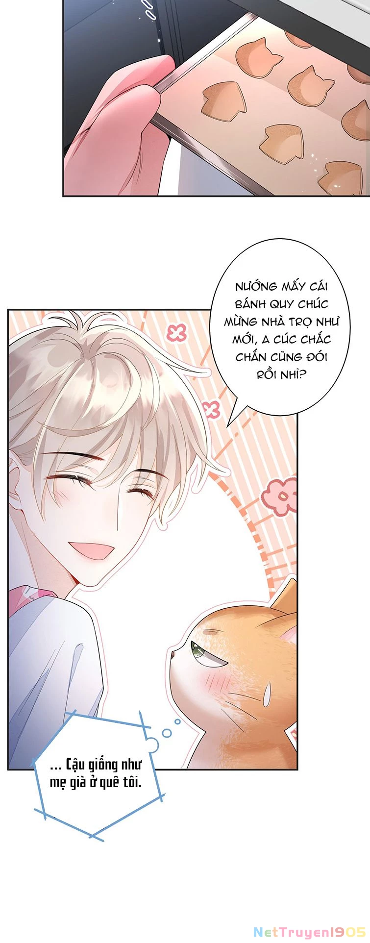 Nhân Thê Thụ Bị Bắt Tiếp Kịch Bản Cường Thụ Chapter 5 - 9