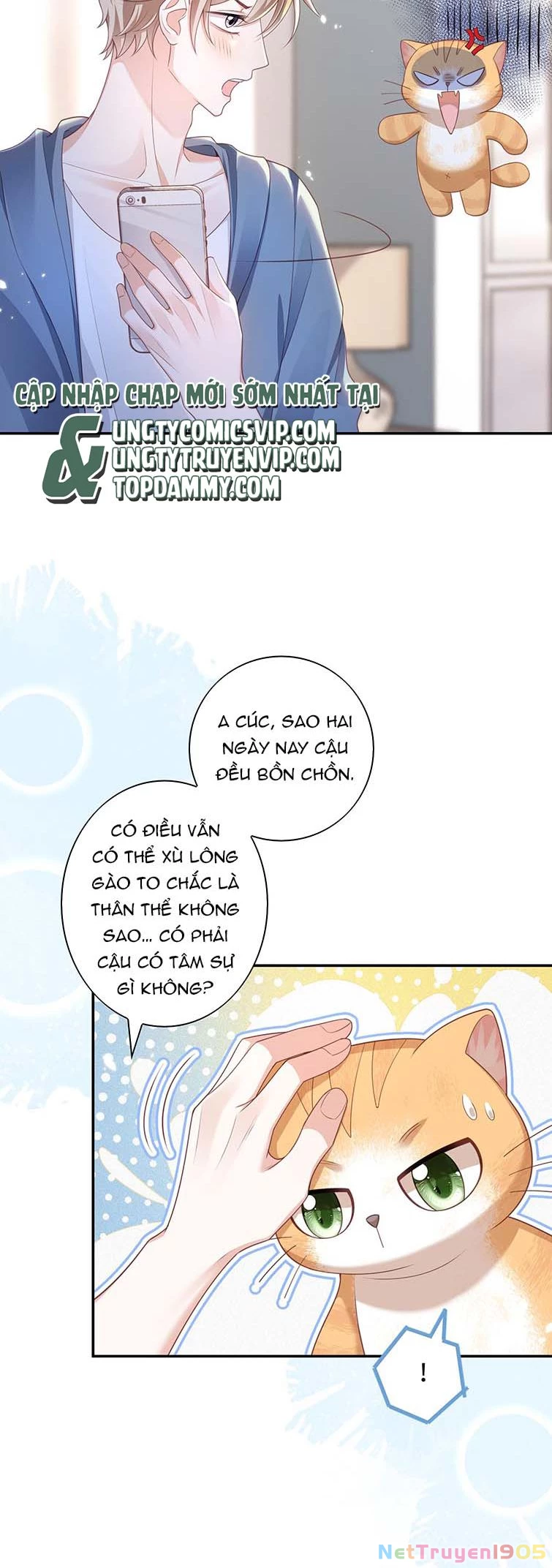 Nhân Thê Thụ Bị Bắt Tiếp Kịch Bản Cường Thụ Chapter 11 - 7