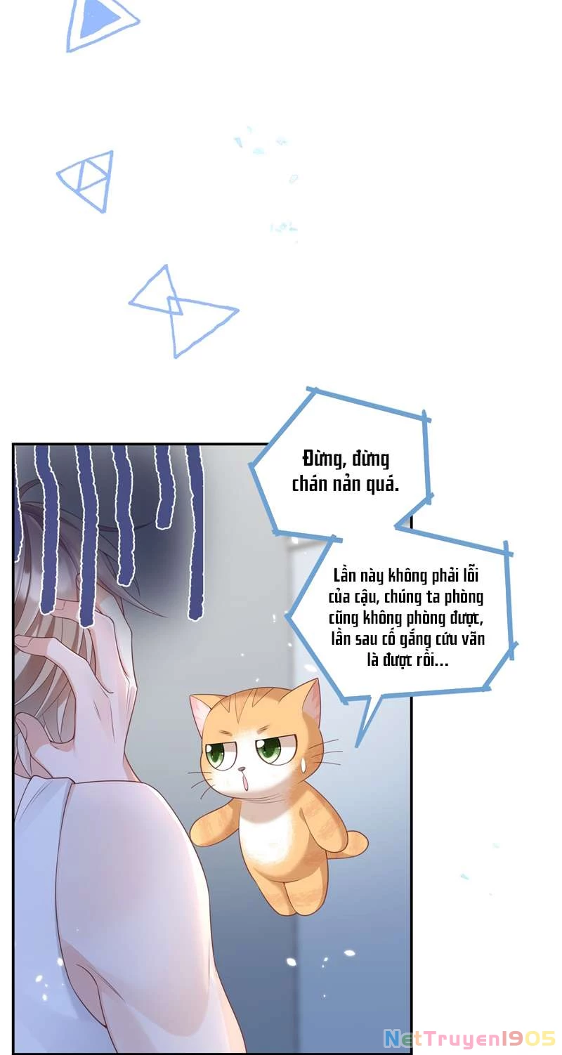 Nhân Thê Thụ Bị Bắt Tiếp Kịch Bản Cường Thụ Chapter 13 - 5