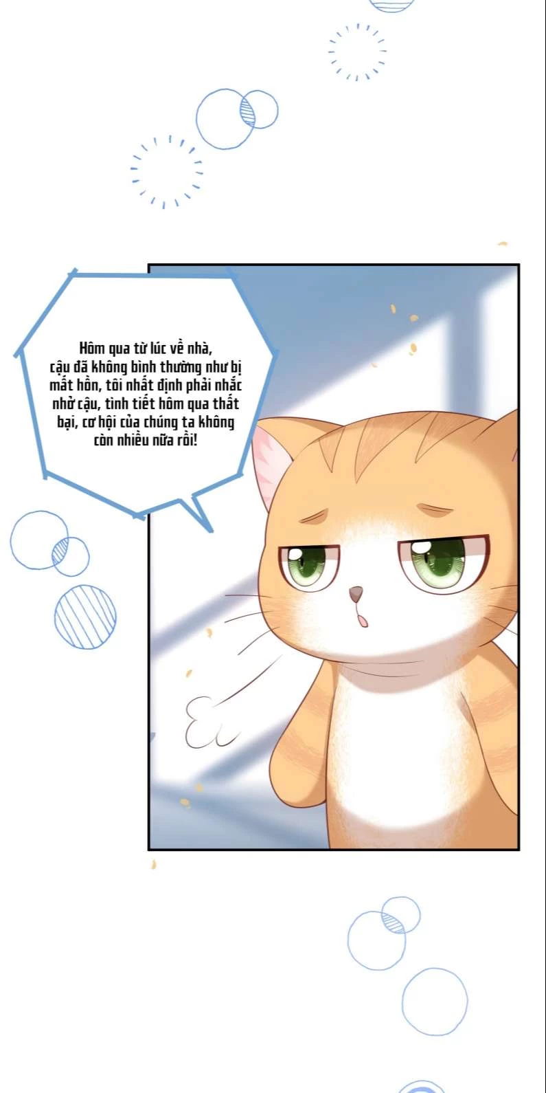 Nhân Thê Thụ Bị Bắt Tiếp Kịch Bản Cường Thụ Chapter 15 - 38