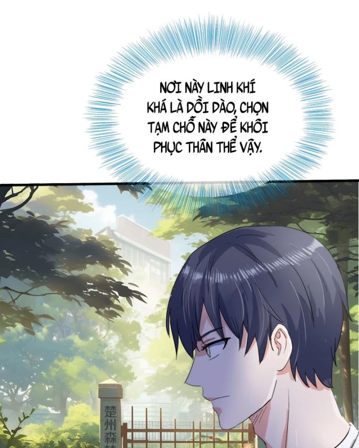Tiên Tôn Trùng Sinh Đi Ở Rễ Này Có Chút Kiêu Ngạo Chapter 2 - 26