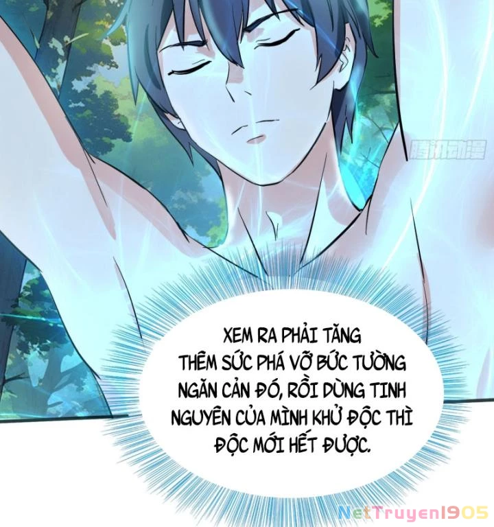 Tiên Tôn Trùng Sinh Đi Ở Rễ Này Có Chút Kiêu Ngạo Chapter 4 - 8