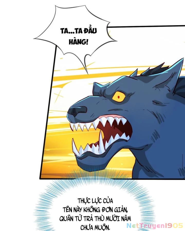 Tiên Tôn Trùng Sinh Đi Ở Rễ Này Có Chút Kiêu Ngạo Chapter 14 - 14