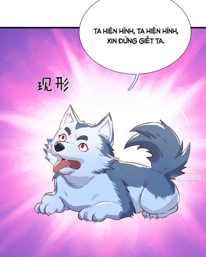 Tiên Tôn Trùng Sinh Đi Ở Rễ Này Có Chút Kiêu Ngạo Chapter 14 - 16