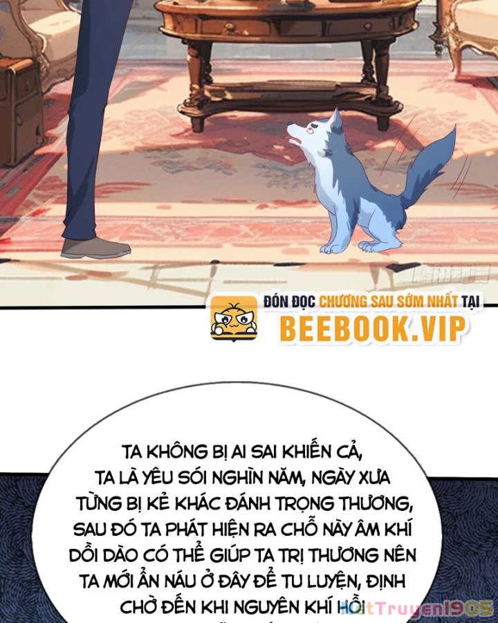 Tiên Tôn Trùng Sinh Đi Ở Rễ Này Có Chút Kiêu Ngạo Chapter 14 - 20