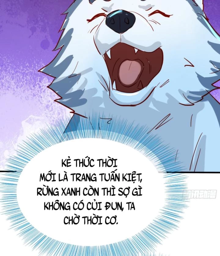 Tiên Tôn Trùng Sinh Đi Ở Rễ Này Có Chút Kiêu Ngạo Chapter 14 - 24