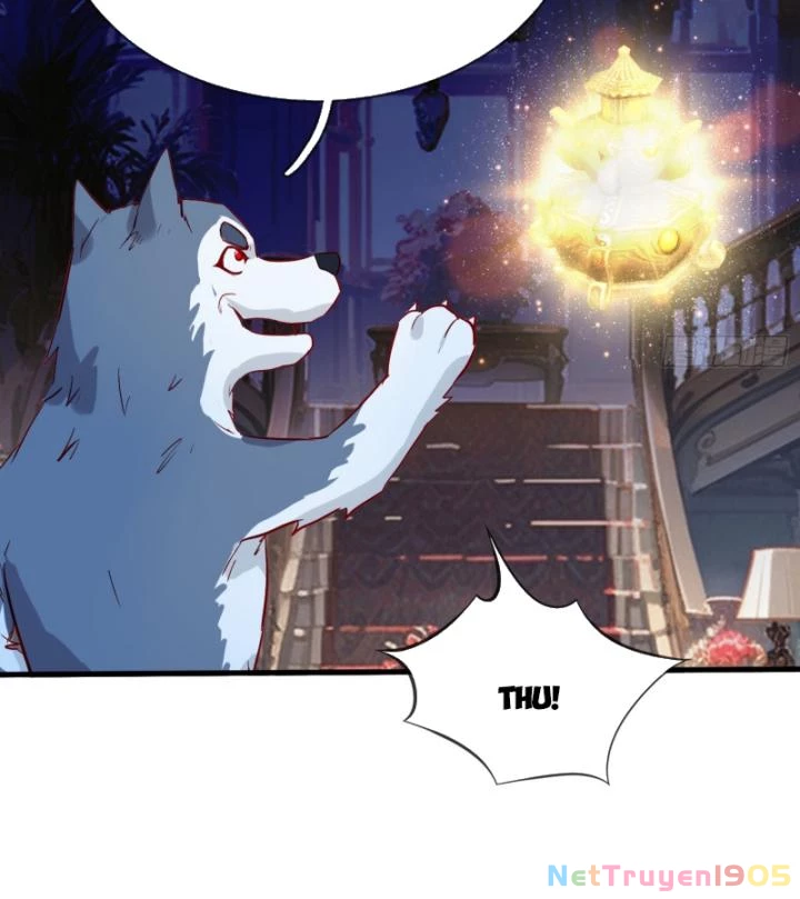 Tiên Tôn Trùng Sinh Đi Ở Rễ Này Có Chút Kiêu Ngạo Chapter 14 - 31