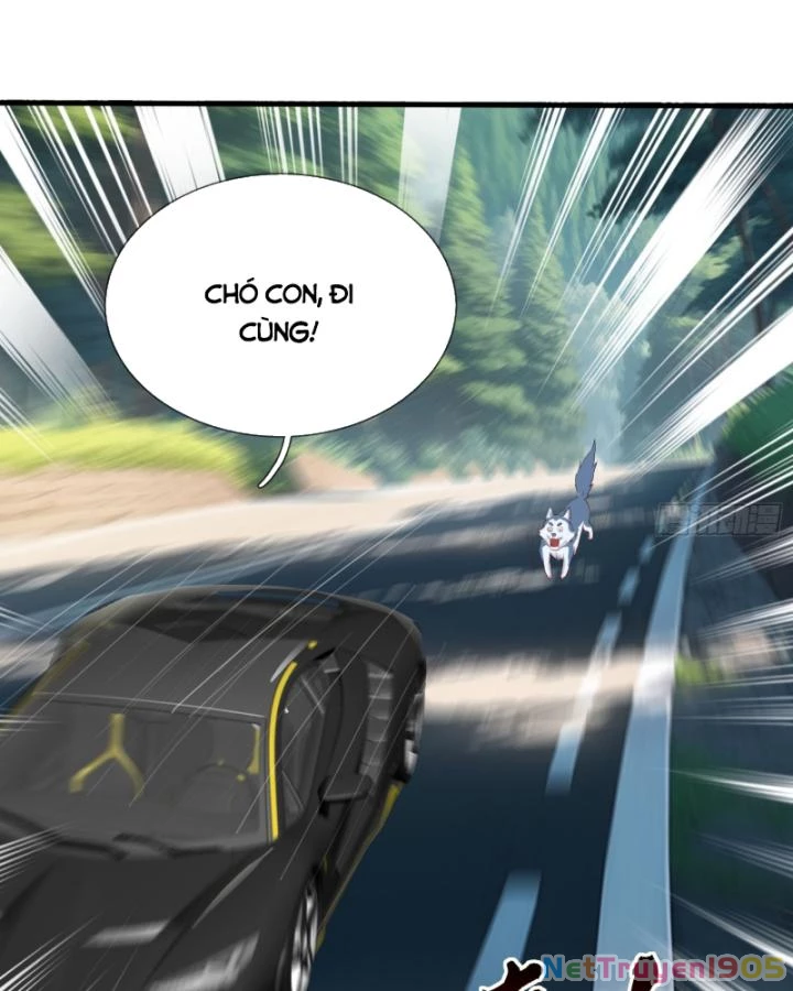 Tiên Tôn Trùng Sinh Đi Ở Rễ Này Có Chút Kiêu Ngạo Chapter 15 - 17