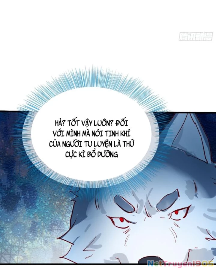 Tiên Tôn Trùng Sinh Đi Ở Rễ Này Có Chút Kiêu Ngạo Chapter 16 - 46
