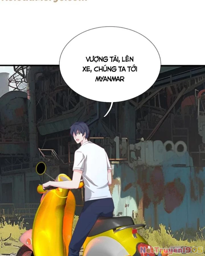 Tiên Tôn Trùng Sinh Đi Ở Rễ Này Có Chút Kiêu Ngạo Chapter 17 - 14