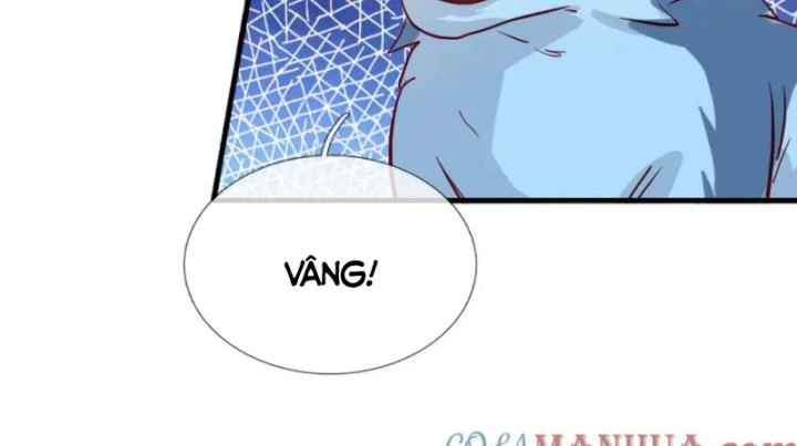 Tiên Tôn Trùng Sinh Đi Ở Rễ Này Có Chút Kiêu Ngạo Chapter 17 - 16