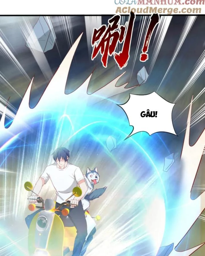 Tiên Tôn Trùng Sinh Đi Ở Rễ Này Có Chút Kiêu Ngạo Chapter 17 - 17